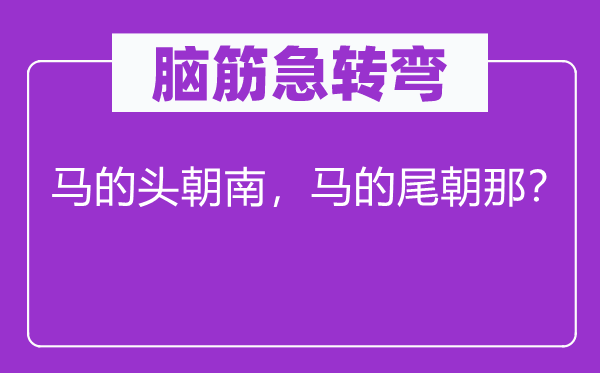脑子急转弯：马的头朝南，马的尾朝那？