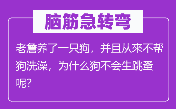 脑子急转弯：老詹养了一只狗，并且从來不帮狗沐浴，为甚么狗不会生跳蚤呢？