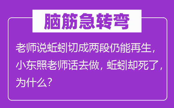 脑子急转弯：教员说蚯蚓切成两段仍能再生，小东照教员话去做，蚯蚓却死了，为甚么？