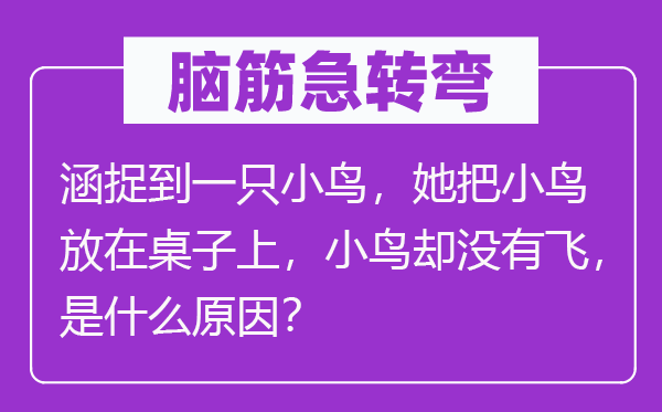 脑子急转弯：涵捉到一只小鸟，她把小鸟放在桌子上，小鸟却不飞，是甚么缘由？