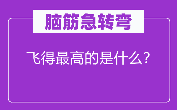 脑子急转弯：飞得最高的是甚么？