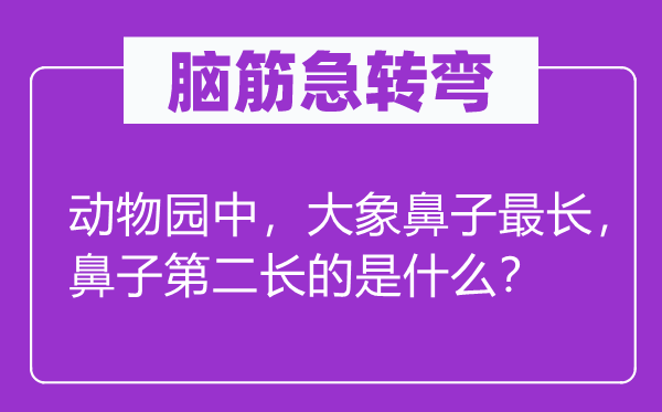 脑子急转弯：植物园中，大象鼻子最长，鼻子第二长的是甚么？