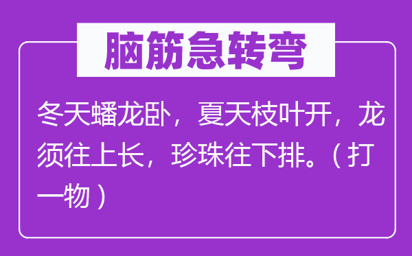 脑子急转弯：冬季蟠龙卧，炎天枝叶开，龙须往上长，珍珠往下排.(打一物)