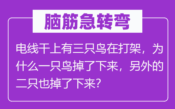 脑子急转弯：电线干上有三只鸟在打斗，为甚么一只鸟掉了上去，别的的二只也掉了上去？