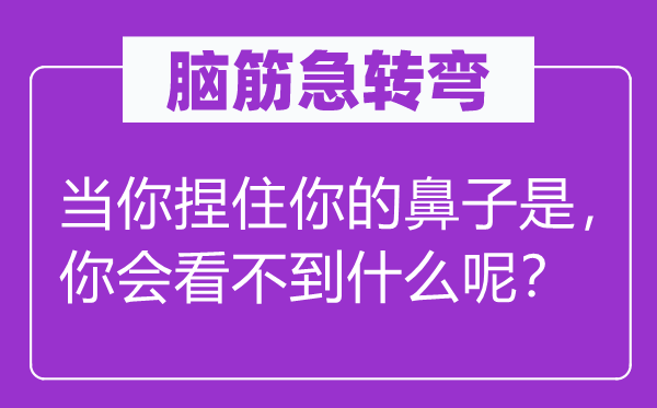 脑子急转弯：当你捏住你的鼻子是，你会看不到甚么呢？
