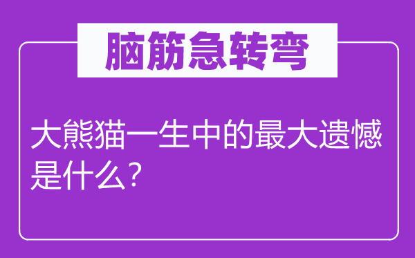 脑子急转弯：大熊猫平生中的最大遗憾是甚么？