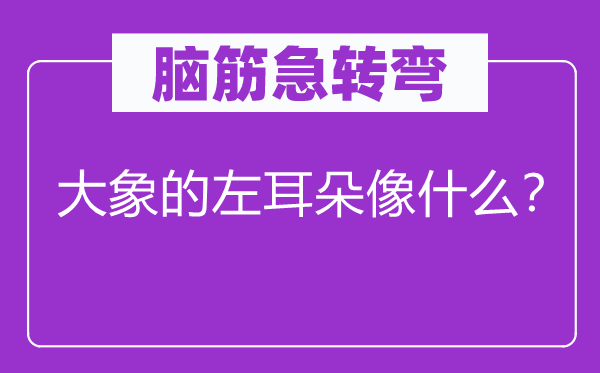 脑子急转弯：大象的左耳朵像甚么？