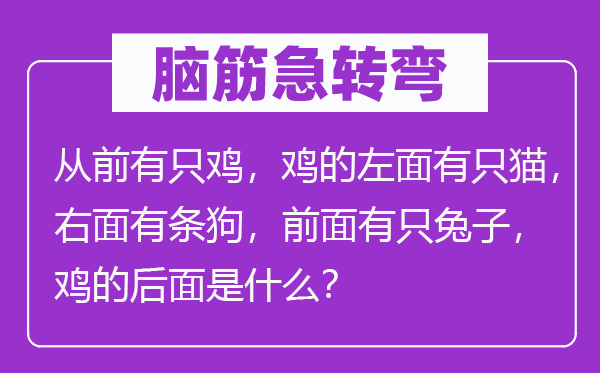 脑子急转弯：畴前有只鸡，鸡的左面有只猫，左面有条狗，前面有只兔子，鸡的前面是甚么？
