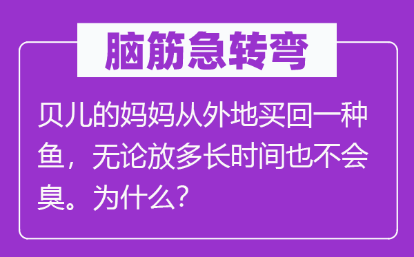 脑子急转弯：贝儿的妈妈从外埠买回一种鱼，不管放多永劫间也不会臭。为甚么？