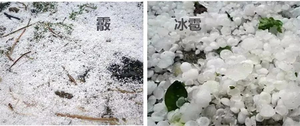 霰怎样读,霰是甚么气候,霰和雪的区分