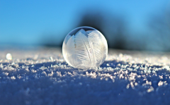 为甚么雪是红色的而冰是通明