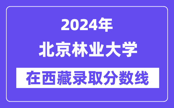 北京林业大学2024年在西藏登科分数线一览表（2025年参考）