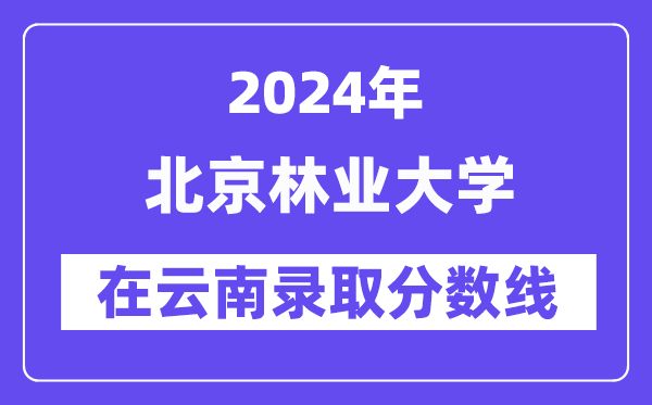 北京林业大学2024年在云南登科分数线一览表(2025年参考)