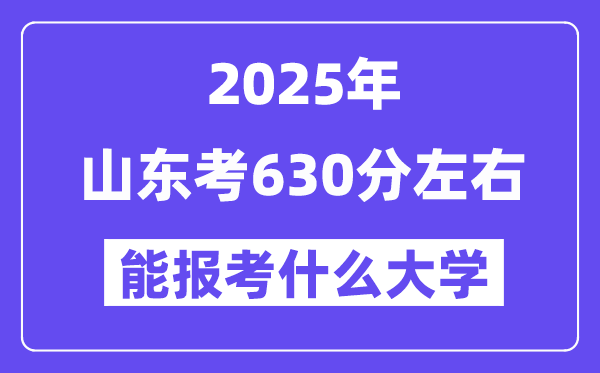 2025年山东考630分摆布能报考上甚么大学?附位次排名对比表