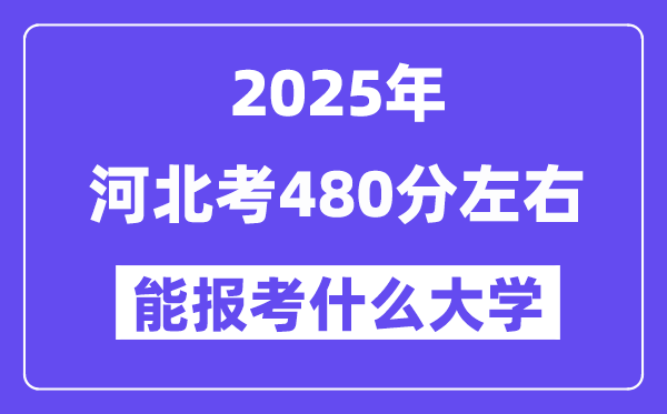 2025年河北考480分摆布能报考上甚么大学?附位次排名对比表