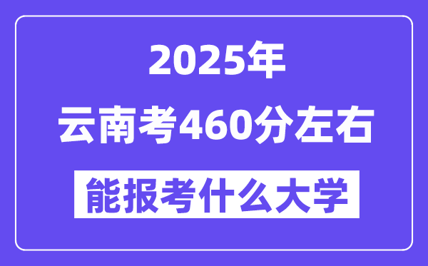 2025年云南考460分摆布能报考上甚么大学?附位次排名对比表