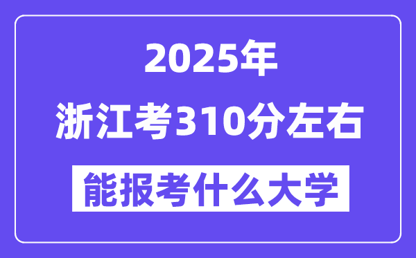 2025年浙江考310分摆布能报考上甚么大学?附位次排名对比表