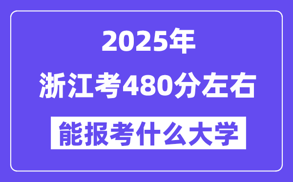 2025年浙江考480分摆布能报考上甚么大学?附位次排名对比表