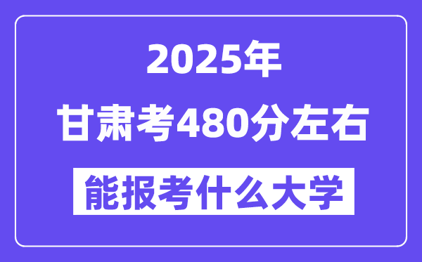 2025年甘肃考480分摆布能报考上甚么大学?附位次排名对比表