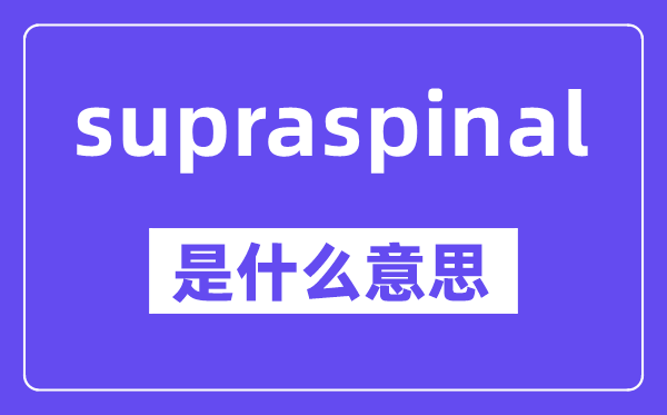 supraspinal是甚么意义,中文翻译是甚么