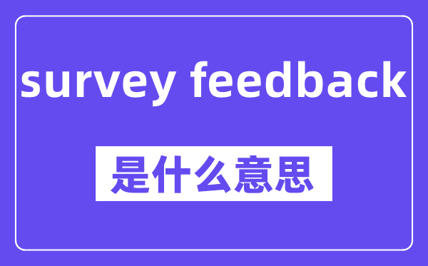 survey feedback是甚么意义,中文翻译是甚么