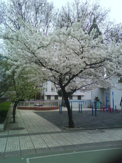 南京第九中学简介概略（建校汗青、地点、师资、校训、情况）