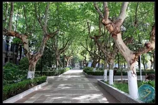 南京第十三中学简介概略（建校汗青、地点、师资、校训、情况）