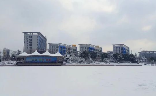 南京市江宁高等中学在南京的排名第几,南外属于甚么条理？