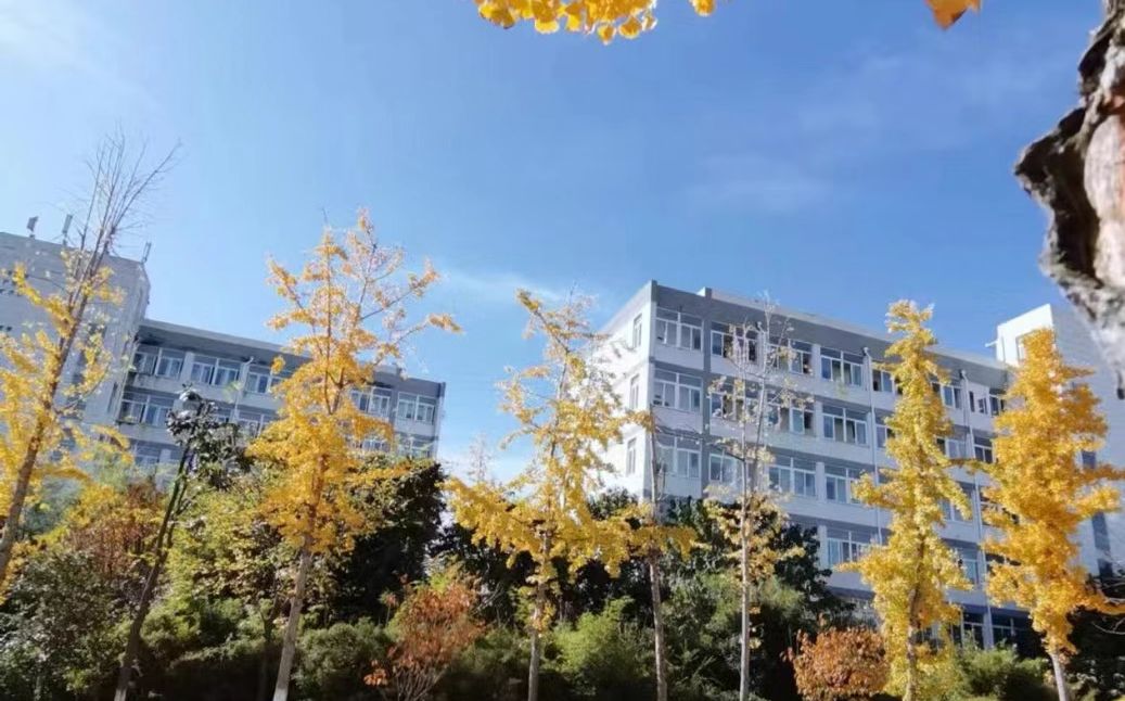 南京市天地尝试高等中学在南京的排名第几,南外属于甚么条理？