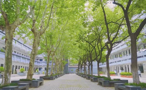 南京市第十四中学是公立仍是私立,是重点中学吗？