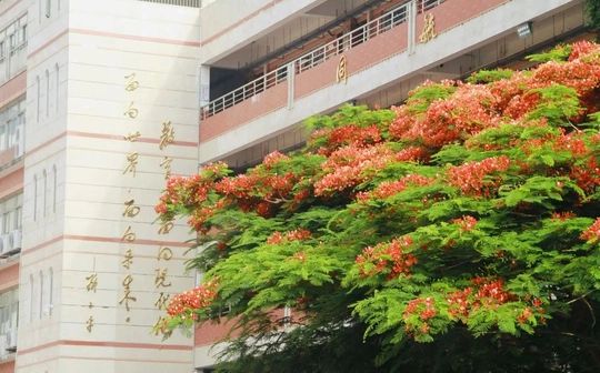 厦门市大同中学是公立仍是私立,是重点中学吗？