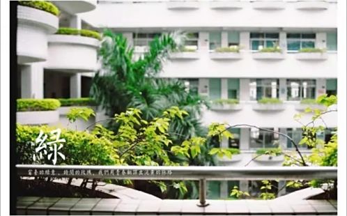 深圳市罗湖外语黉舍在深圳的排名第几,属于甚么层次？